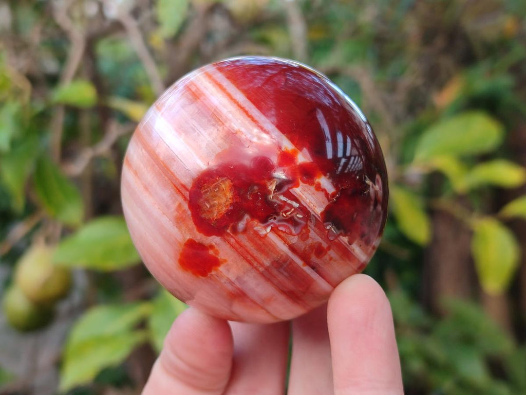 Polished Carnelian Agate Gemstone Spheres x 3 From Madagascar - Toprock Gemstones and Minerals 