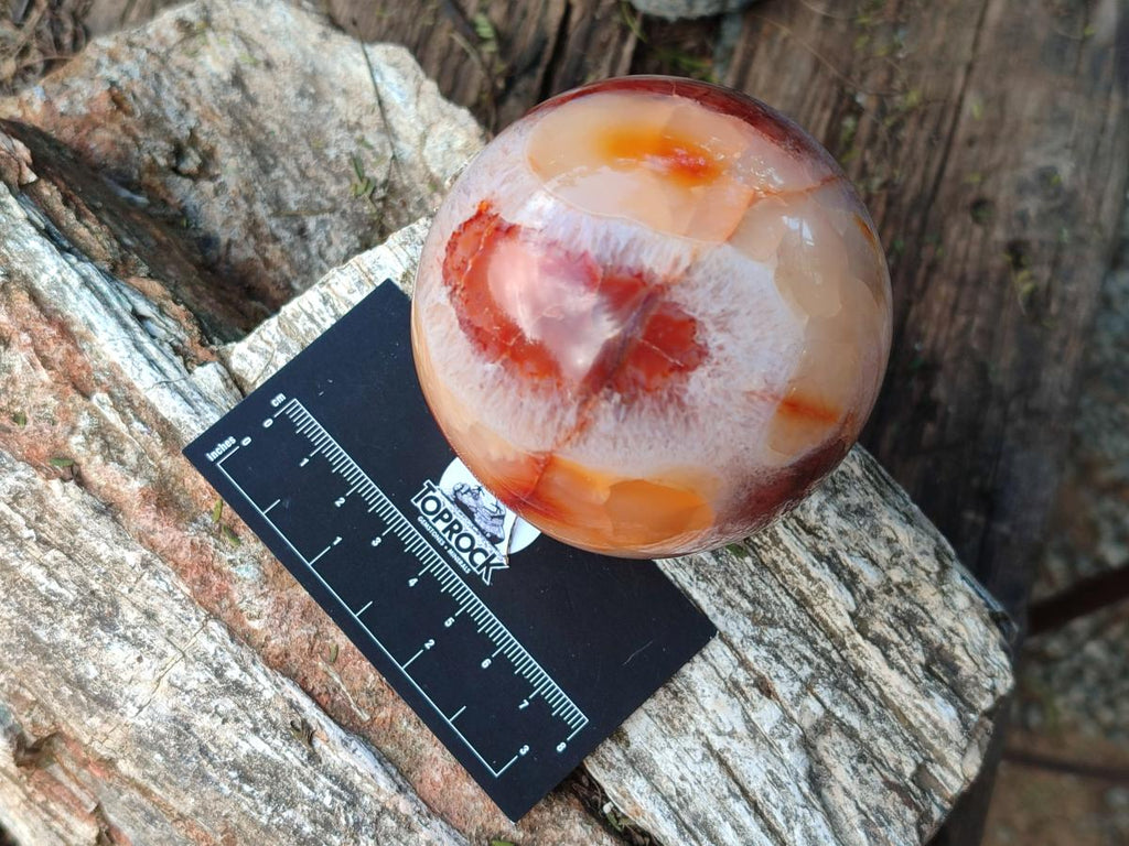 Polished Carnelian Agate Gemstone Spheres x 3 From Madagascar - Toprock Gemstones and Minerals 