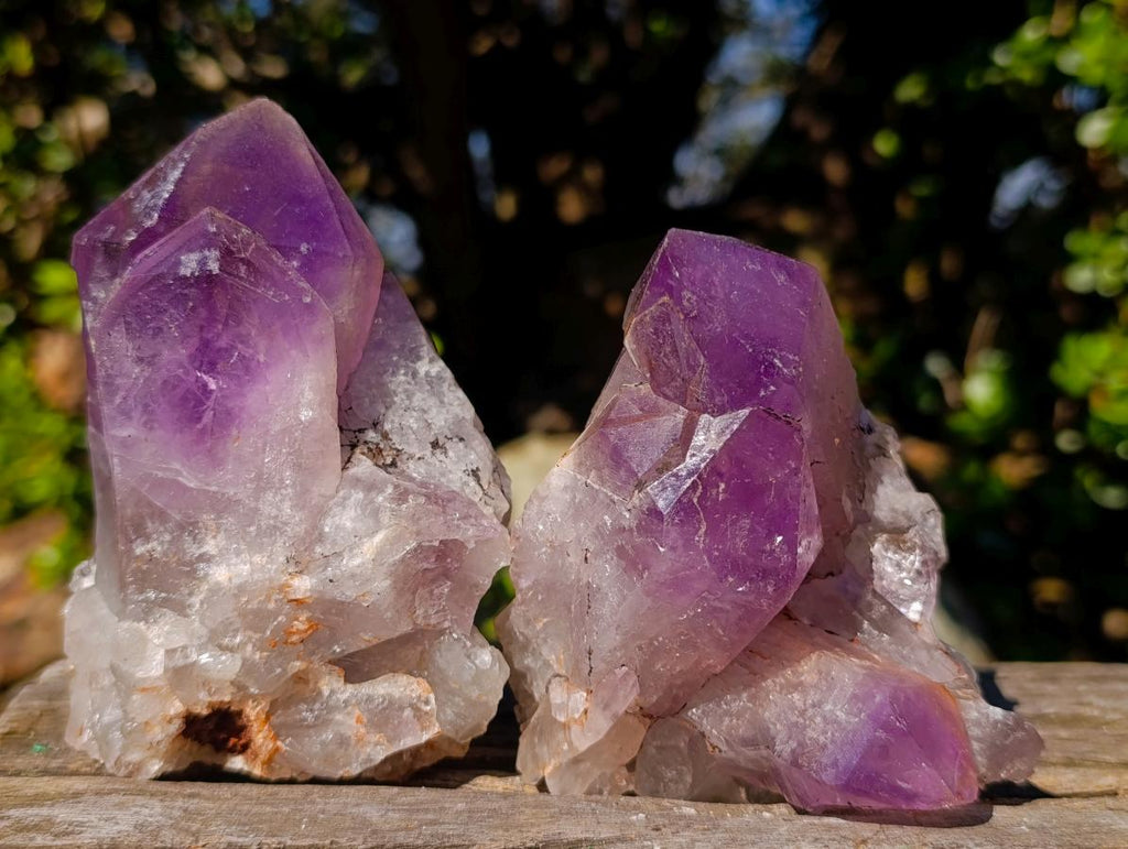 Natural Large Jacaranda Amethyst Crystal Clusters x 6 From Mumbwa, Zambia