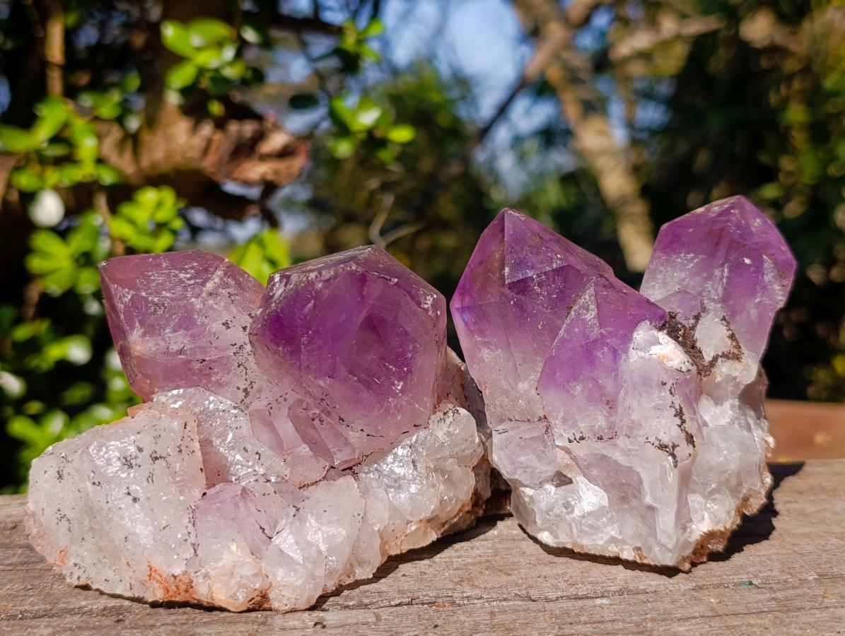 Natural Large Jacaranda Amethyst Crystal Clusters x 6 From Mumbwa, Zambia