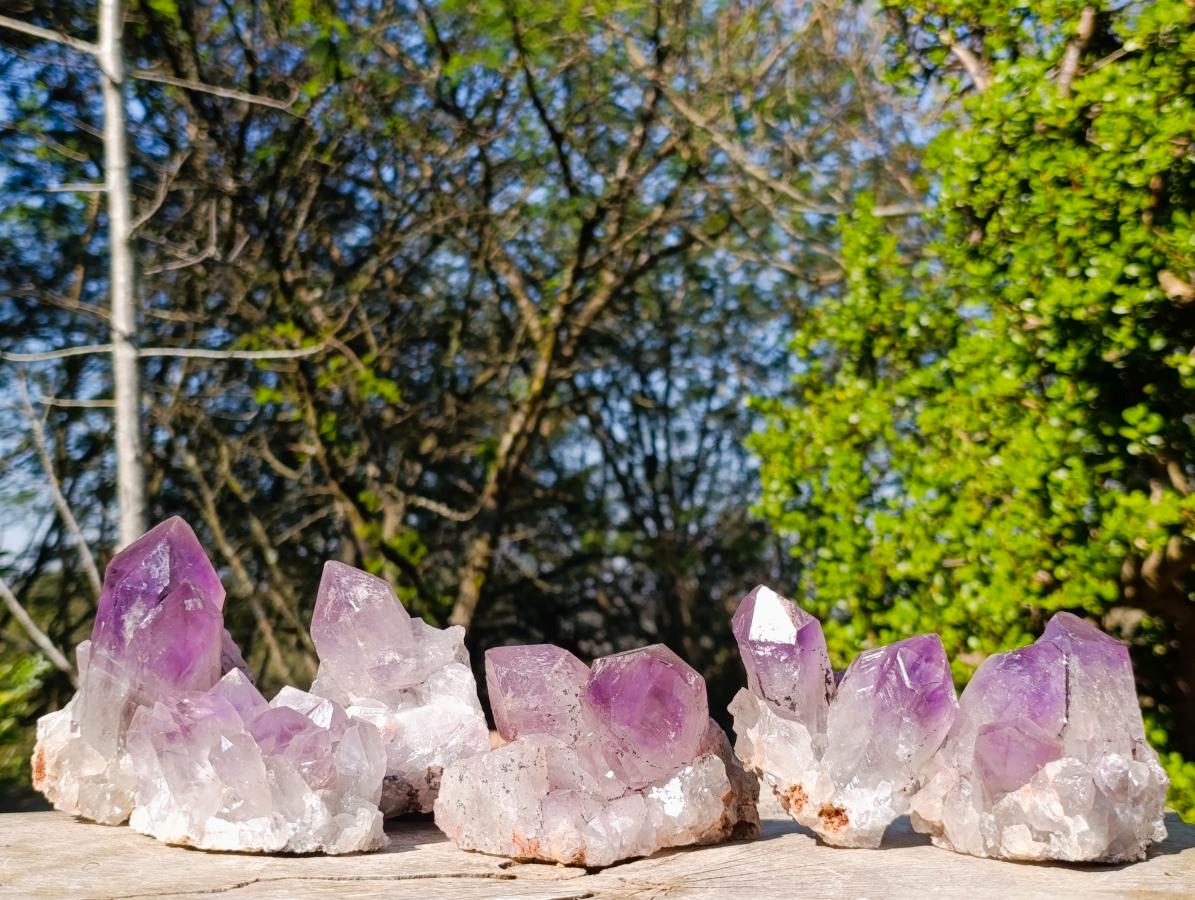 Natural Large Jacaranda Amethyst Crystal Clusters x 6 From Mumbwa, Zambia