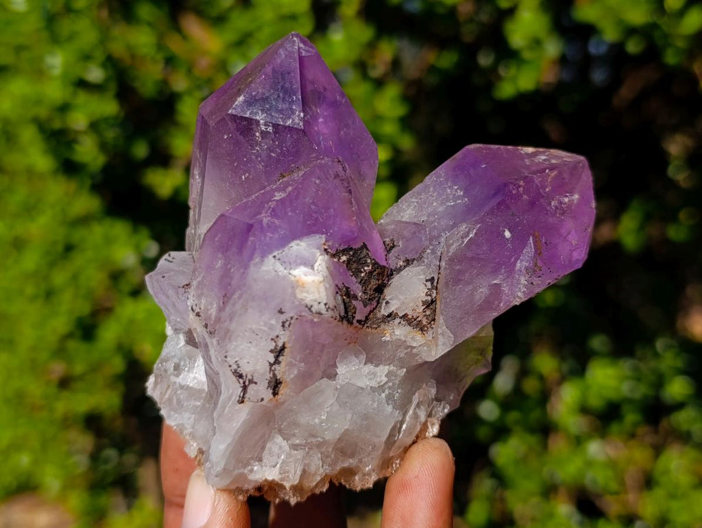 Natural Large Jacaranda Amethyst Crystal Clusters x 6 From Mumbwa, Zambia
