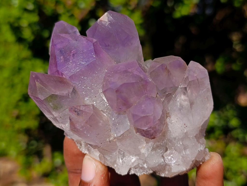Natural Large Jacaranda Amethyst Crystal Clusters x 6 From Mumbwa, Zambia