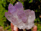 Natural Large Jacaranda Amethyst Crystal Clusters x 6 From Mumbwa, Zambia