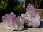 Natural Large Jacaranda Amethyst Crystal Clusters x 6 From Mumbwa, Zambia