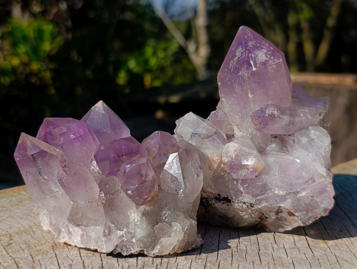 Natural Large Jacaranda Amethyst Crystal Clusters x 6 From Mumbwa, Zambia