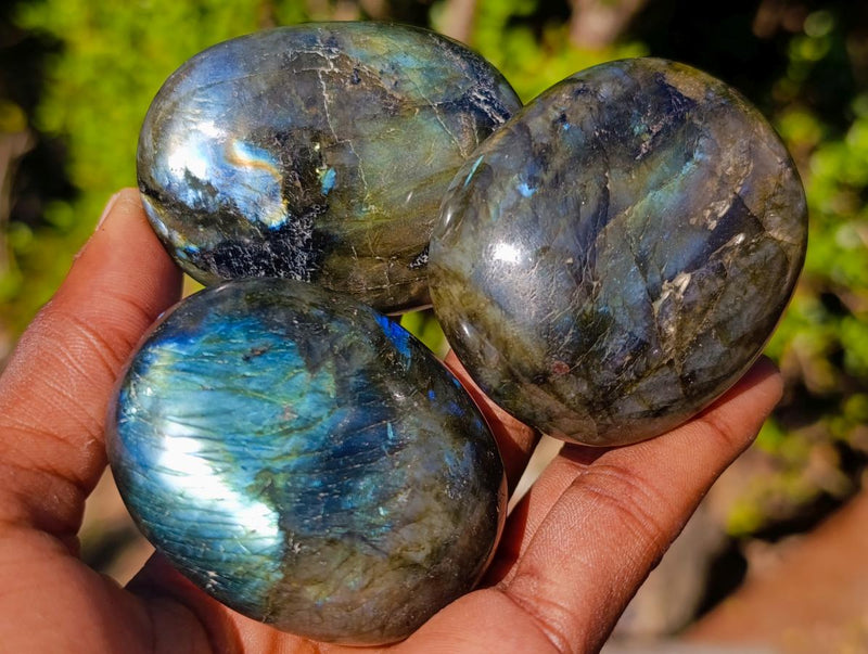 Polished Mixed Multi Mineral Galets x 12 From Madagascar - Toprock Gemstones and Minerals 