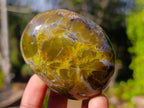 Polished Mixed Multi Mineral Galets x 12 From Madagascar - Toprock Gemstones and Minerals 