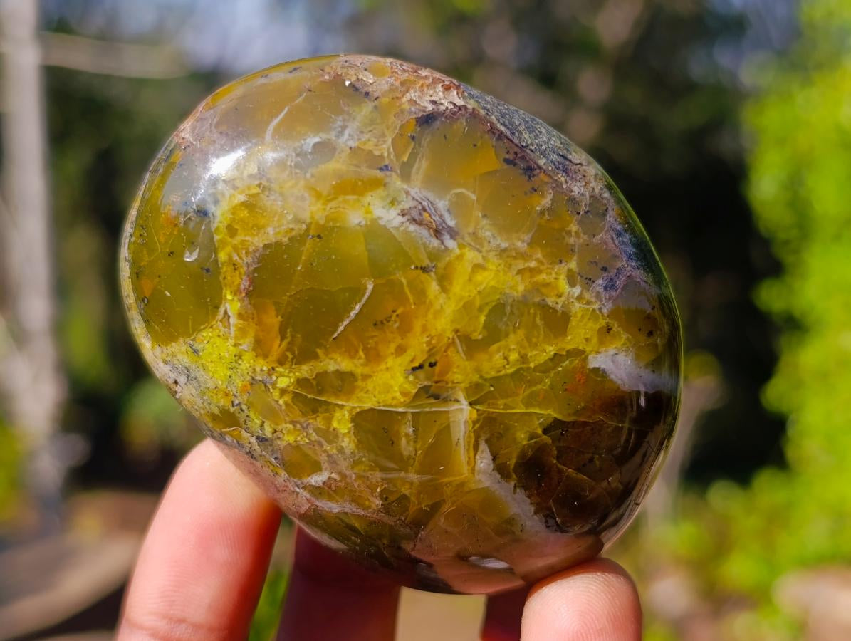 Polished Mixed Multi Mineral Galets x 12 From Madagascar - Toprock Gemstones and Minerals 