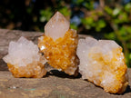 Natural Golden Limonite Spirit Quartz Clusters x 26 From Boekenhouthoek, South Africa