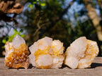 Natural Golden Limonite Spirit Quartz Clusters x 26 From Boekenhouthoek, South Africa