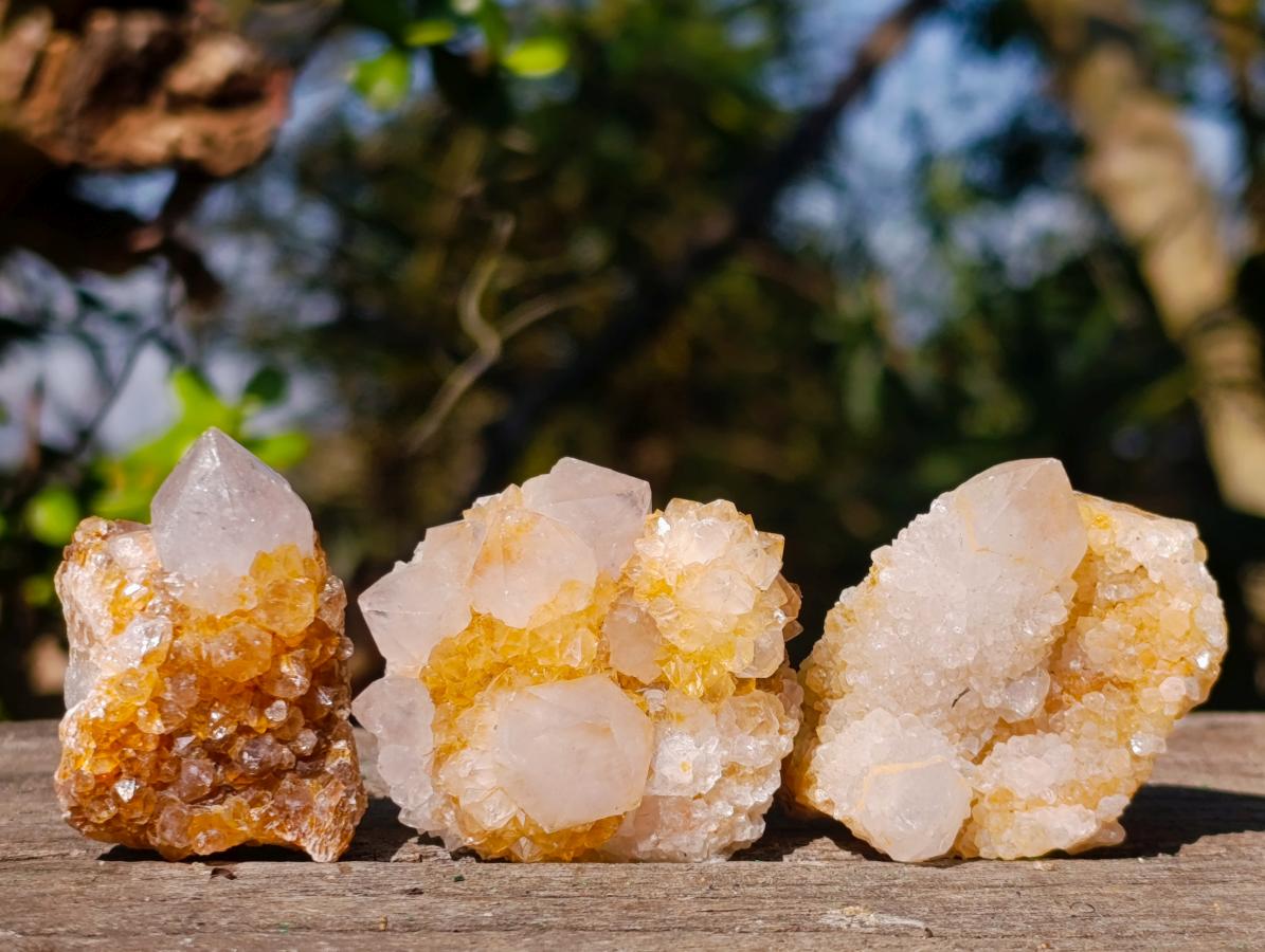 Natural Golden Limonite Spirit Quartz Clusters x 26 From Boekenhouthoek, South Africa