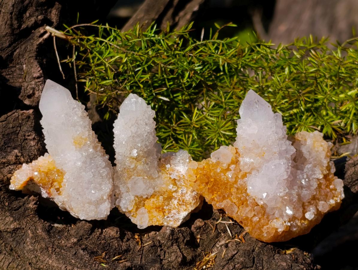 Natural Golden Limonite Spirit Quartz Clusters x 26 From Boekenhouthoek, South Africa