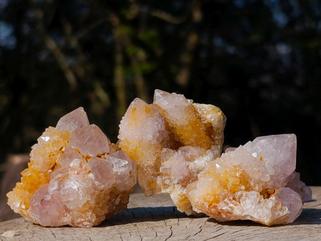 Natural Golden Limonite Spirit Quartz Clusters x 26 From Boekenhouthoek, South Africa