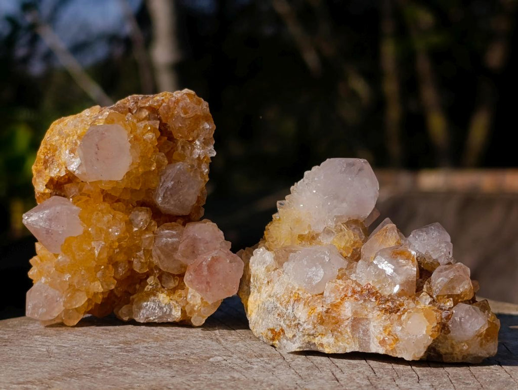 Natural Golden Limonite Spirit Quartz Clusters x 26 From Boekenhouthoek, South Africa
