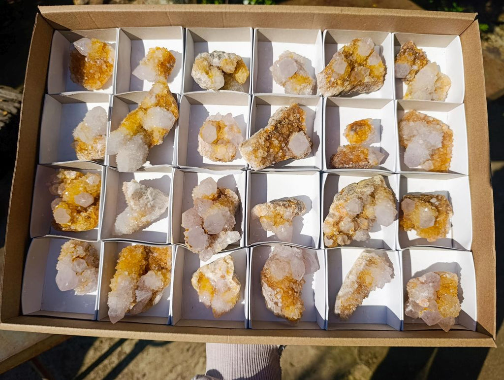 Natural Golden Limonite Spirit Quartz Clusters x 26 From Boekenhouthoek, South Africa
