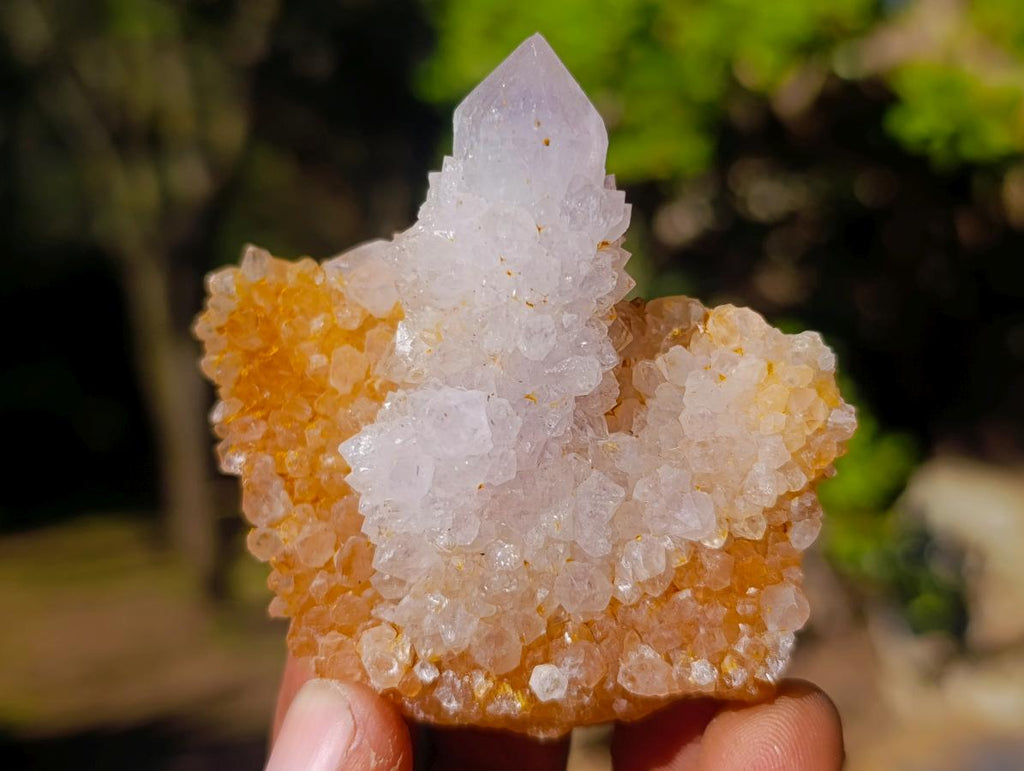 Natural Golden Limonite Spirit Quartz Clusters x 26 From Boekenhouthoek, South Africa