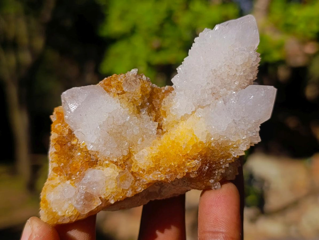 Natural Golden Limonite Spirit Quartz Clusters x 26 From Boekenhouthoek, South Africa