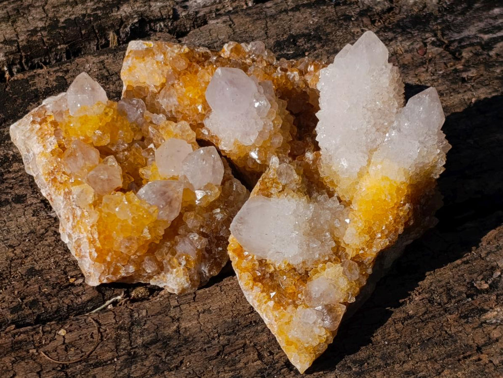 Natural Golden Limonite Spirit Quartz Clusters x 26 From Boekenhouthoek, South Africa