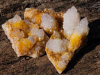 Natural Golden Limonite Spirit Quartz Clusters x 26 From Boekenhouthoek, South Africa