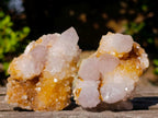 Natural Golden Limonite Spirit Quartz Clusters x 26 From Boekenhouthoek, South Africa
