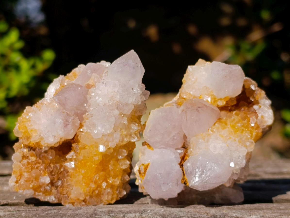 Natural Golden Limonite Spirit Quartz Clusters x 26 From Boekenhouthoek, South Africa