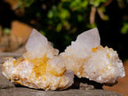 Natural Golden Limonite Spirit Quartz Clusters x 26 From Boekenhouthoek, South Africa
