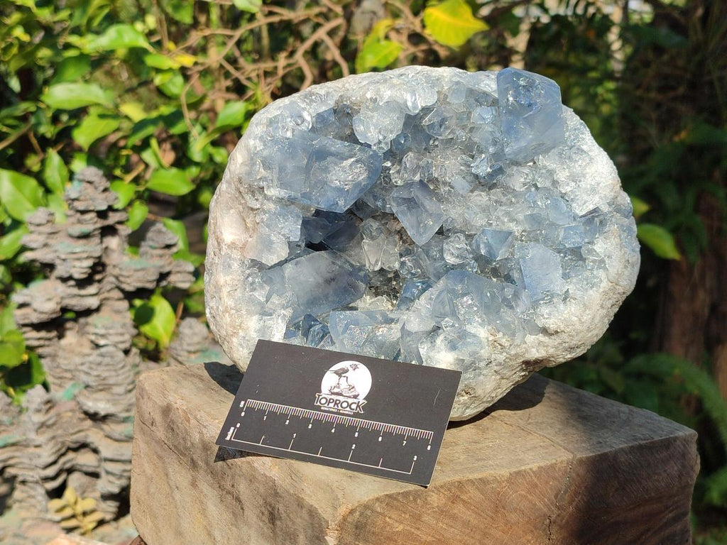 Natural Large Blue Celestite Geode Specimen x 1 From Sakoany, Madagascar - Toprock Gemstones and Minerals 