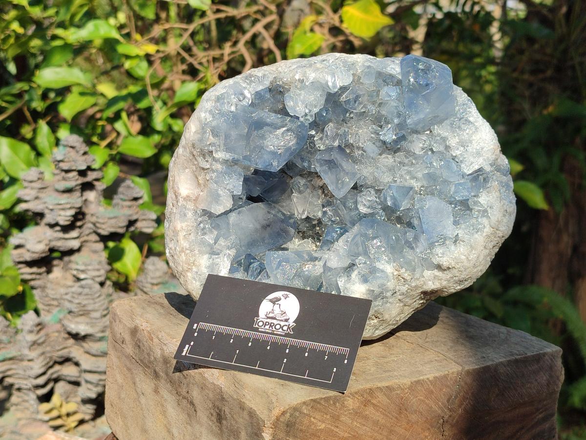 Natural Large Blue Celestite Geode Specimen x 1 From Sakoany, Madagascar - Toprock Gemstones and Minerals 