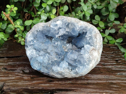 Natural Large Blue Celestite Geode Specimen x 1 From Sakoany, Madagascar - Toprock Gemstones and Minerals 