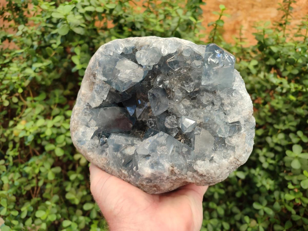 Natural Large Blue Celestite Geode Specimen x 1 From Sakoany, Madagascar - Toprock Gemstones and Minerals 