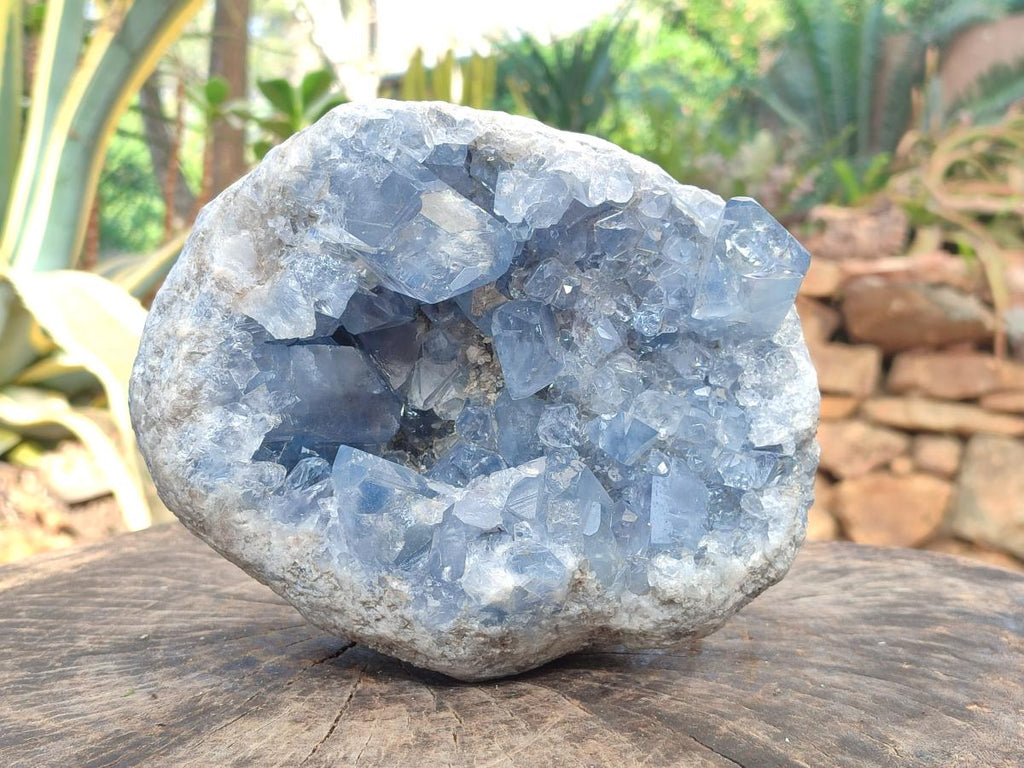 Natural Large Blue Celestite Geode Specimen x 1 From Sakoany, Madagascar - Toprock Gemstones and Minerals 