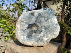 Natural Large Blue Celestite Geode Specimen x 1 From Sakoany, Madagascar - Toprock Gemstones and Minerals 