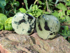 Polished Leopard Stone Palm Stones x 13 From Zimbabwe - Toprock Gemstones and Minerals 