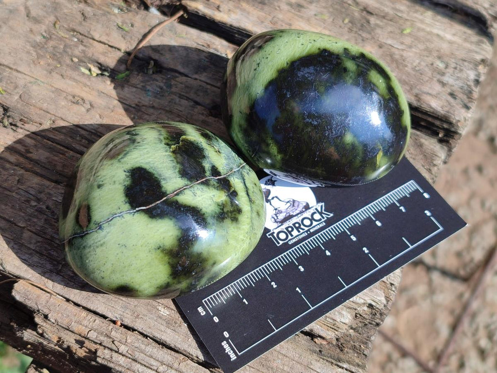 Polished Leopard Stone Palm Stones x 13 From Zimbabwe - Toprock Gemstones and Minerals 