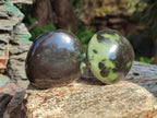 Polished Leopard Stone Palm Stones x 13 From Zimbabwe - Toprock Gemstones and Minerals 
