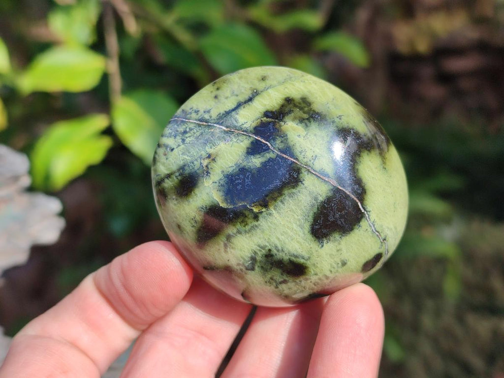 Polished Leopard Stone Palm Stones x 13 From Zimbabwe - Toprock Gemstones and Minerals 