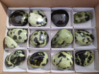 Polished Leopard Stone Palm Stones x 13 From Zimbabwe - Toprock Gemstones and Minerals 