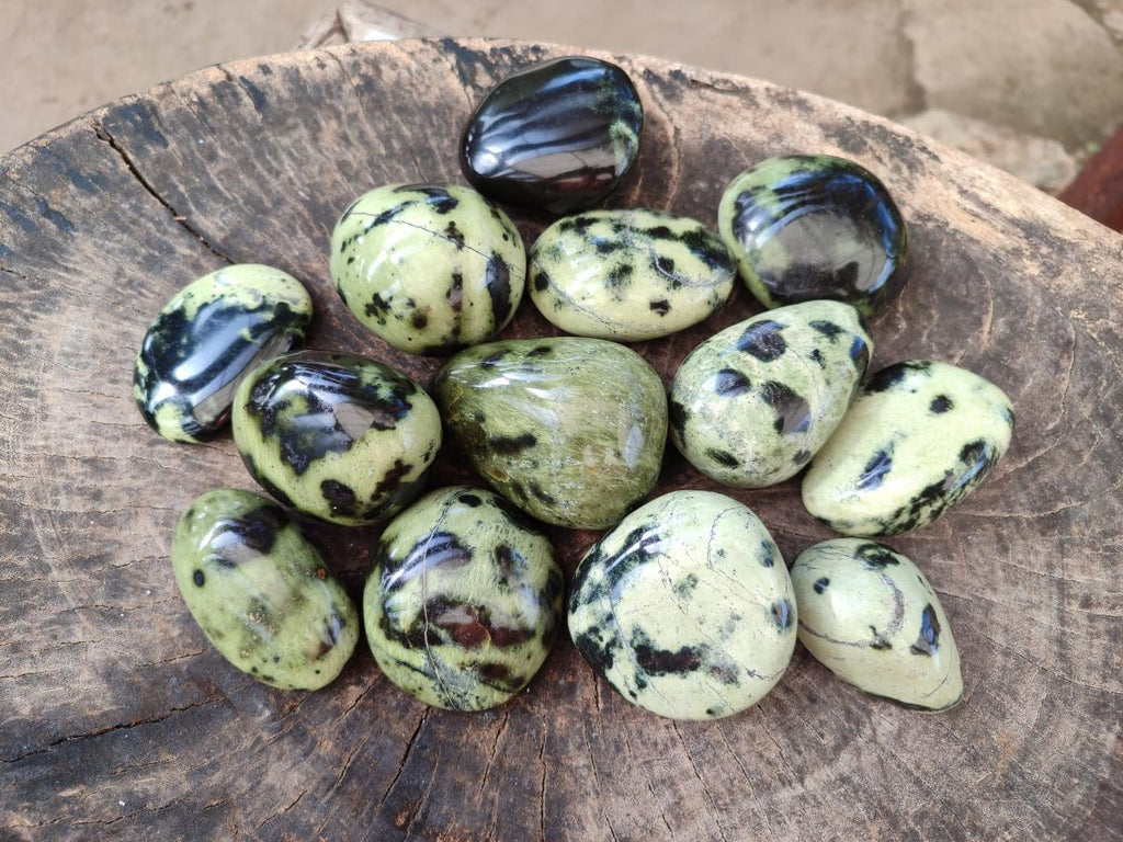 Polished Leopard Stone Palm Stones x 13 From Zimbabwe - Toprock Gemstones and Minerals 