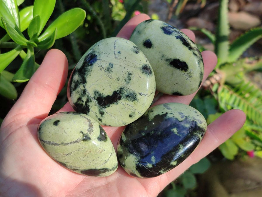 Polished Leopard Stone Palm Stones x 13 From Zimbabwe - Toprock Gemstones and Minerals 