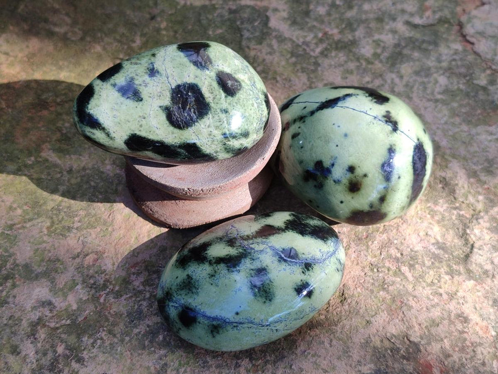 Polished Leopard Stone Palm Stones x 13 From Zimbabwe - Toprock Gemstones and Minerals 