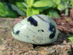 Polished Leopard Stone Palm Stones x 13 From Zimbabwe - Toprock Gemstones and Minerals 