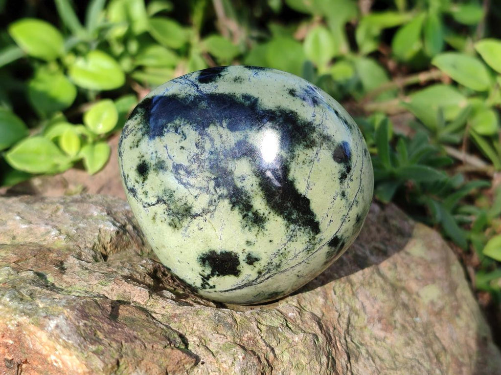 Polished Leopard Stone Palm Stones x 13 From Zimbabwe - Toprock Gemstones and Minerals 