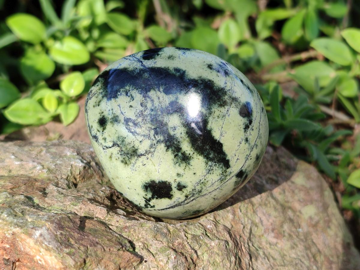 Polished Leopard Stone Palm Stones x 13 From Zimbabwe - Toprock Gemstones and Minerals 