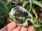 Polished Leopard Stone Palm Stones x 13 From Zimbabwe - Toprock Gemstones and Minerals 