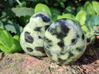 Polished Leopard Stone Palm Stones x 13 From Zimbabwe - Toprock Gemstones and Minerals 