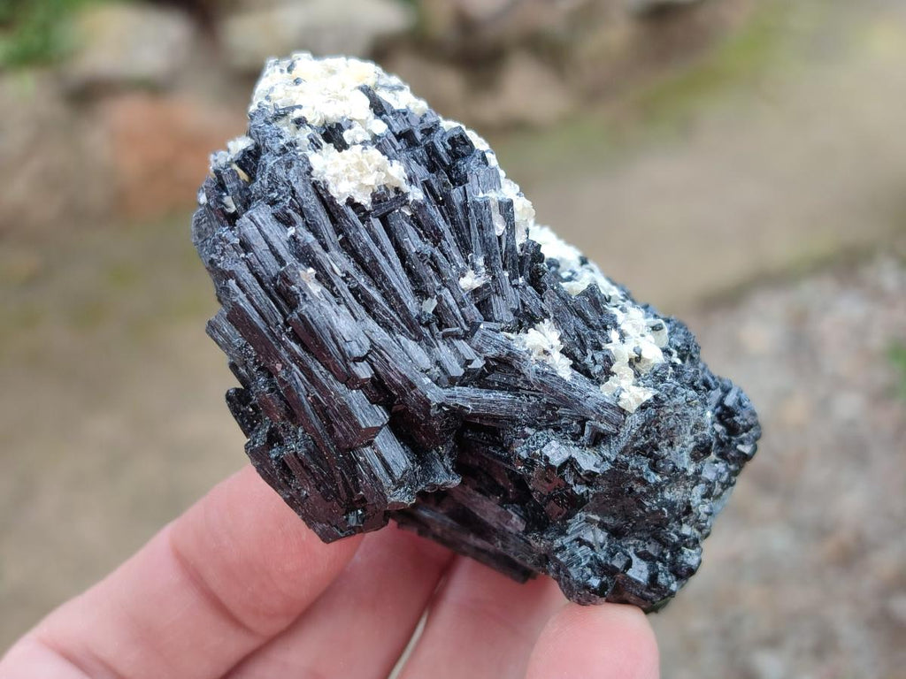 Natural Schorl Black Tourmaline Specimens with Muscovite Mica and Orthoclase x 12 From Erongo, Namibia