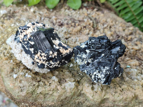 Natural Schorl Black Tourmaline Specimens with Muscovite Mica and Orthoclase x 12 From Erongo, Namibia - Toprock Gemstones and Minerals 