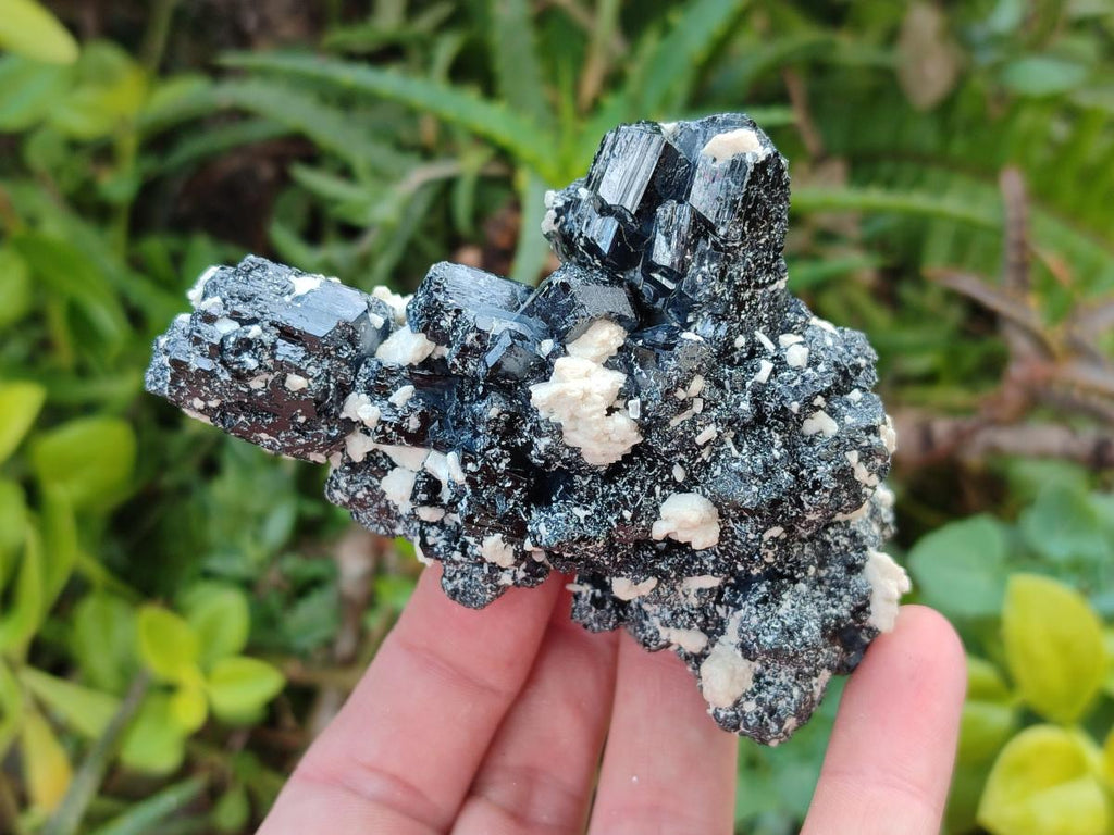 Natural Schorl Black Tourmaline Specimens with Muscovite Mica and Orthoclase x 12 From Erongo, Namibia