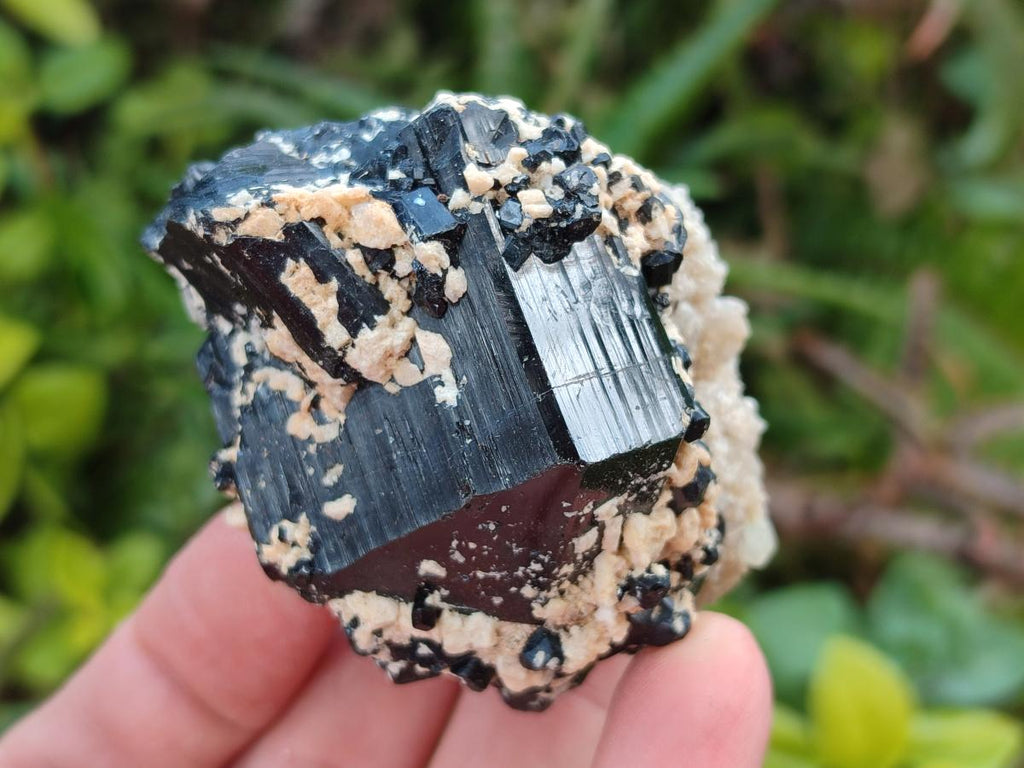 Natural Schorl Black Tourmaline Specimens with Muscovite Mica and Orthoclase x 12 From Erongo, Namibia